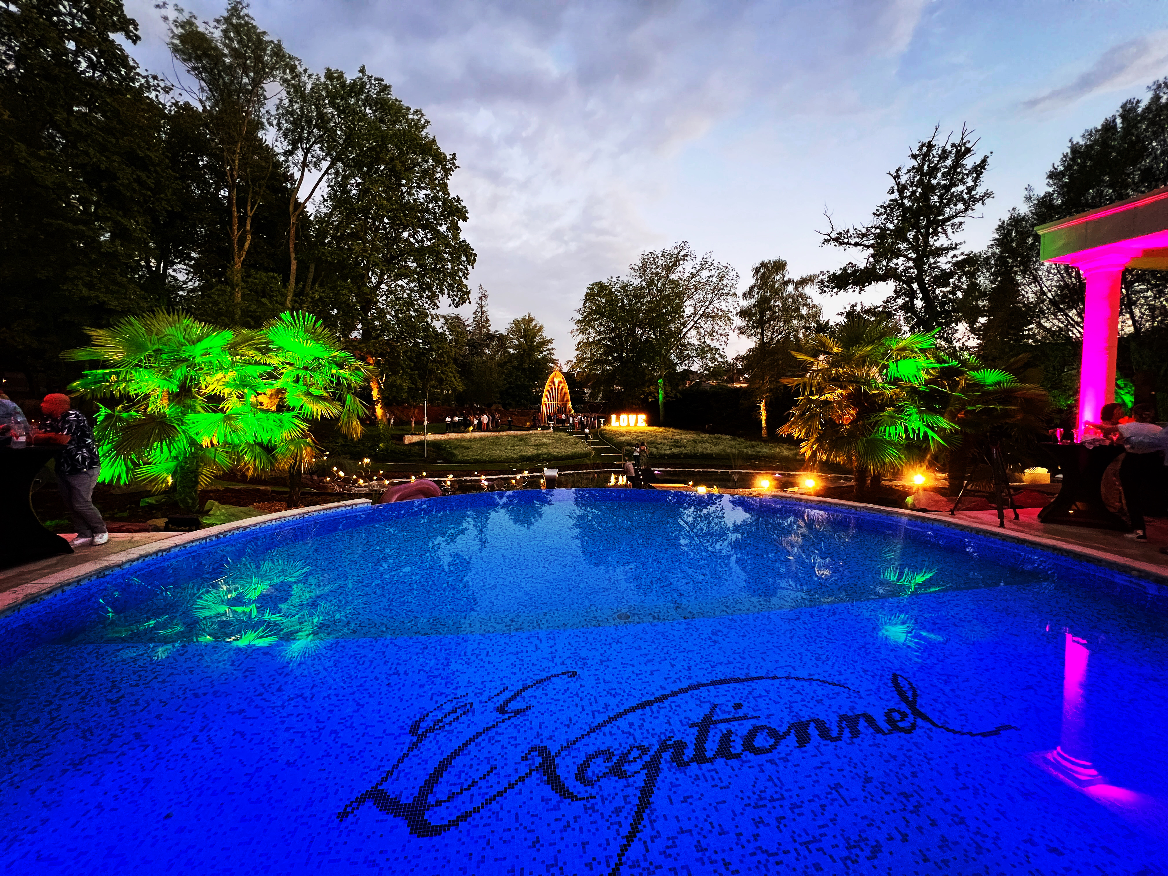 La Villa la plus Spectaculaire du Grand-Est : Luxe "Côte d'Azur" et Discothèque Privée - Photo 1