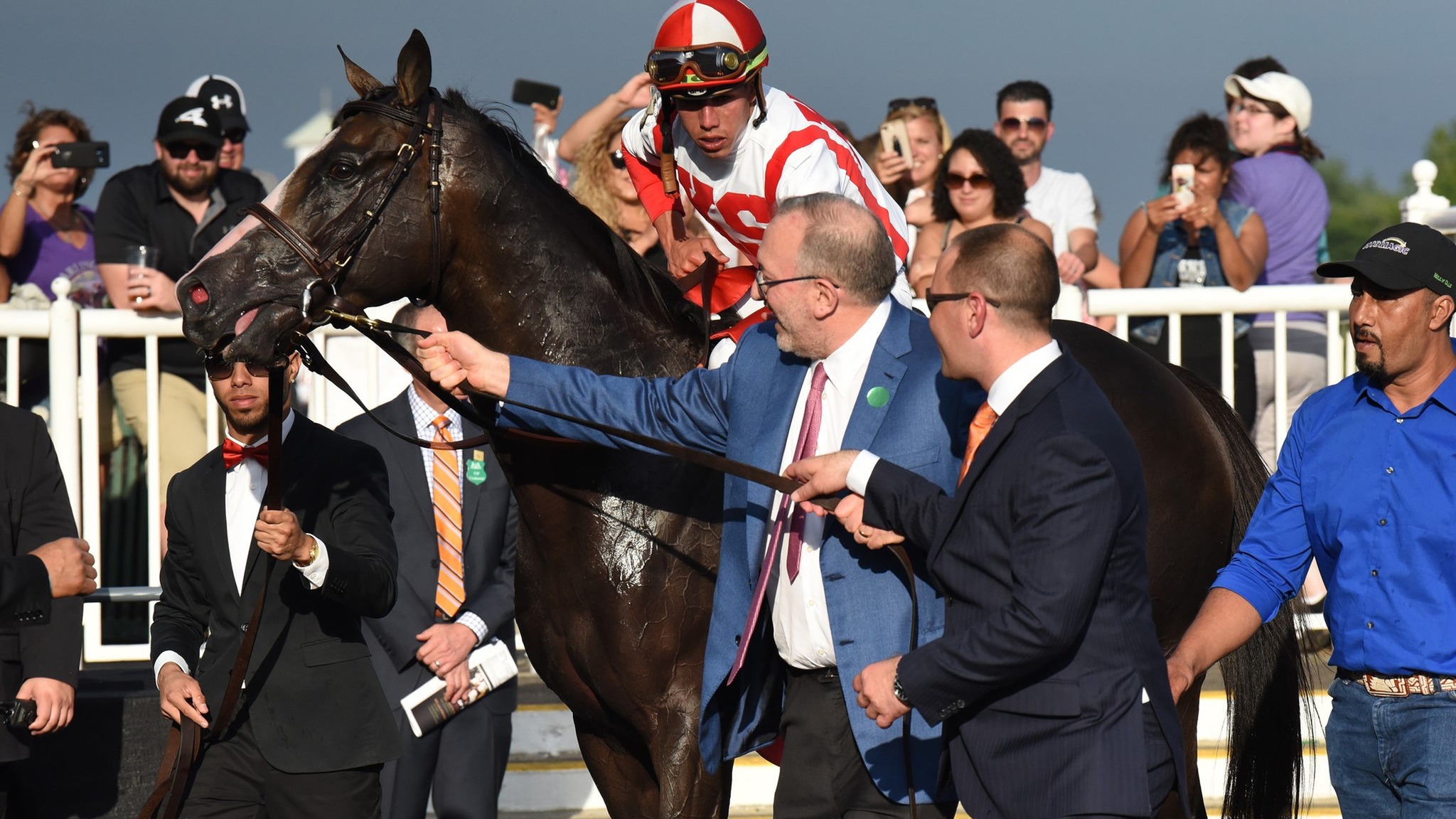 Dostihová sezóna ve Wissembourgu 2026: Hippodrome de la Hardt otevírá 12. dubna s prémiovým dostihovým obědem