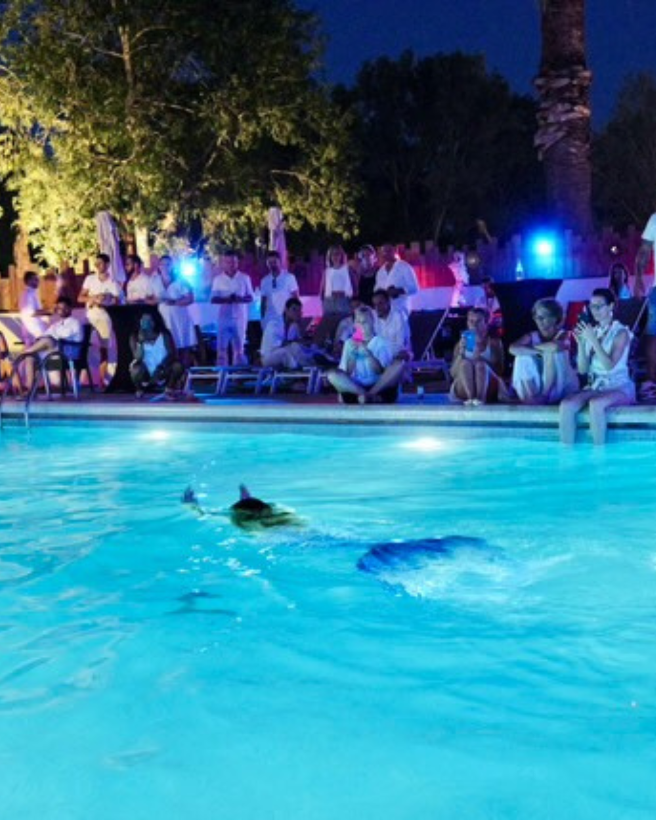 De Saint-Tropez à Monaco, une sirène entre dans vos soirées : le partenariat qui réinvente l'événementiel de luxe sur la Côte d'Azur — © Art freya sirene
