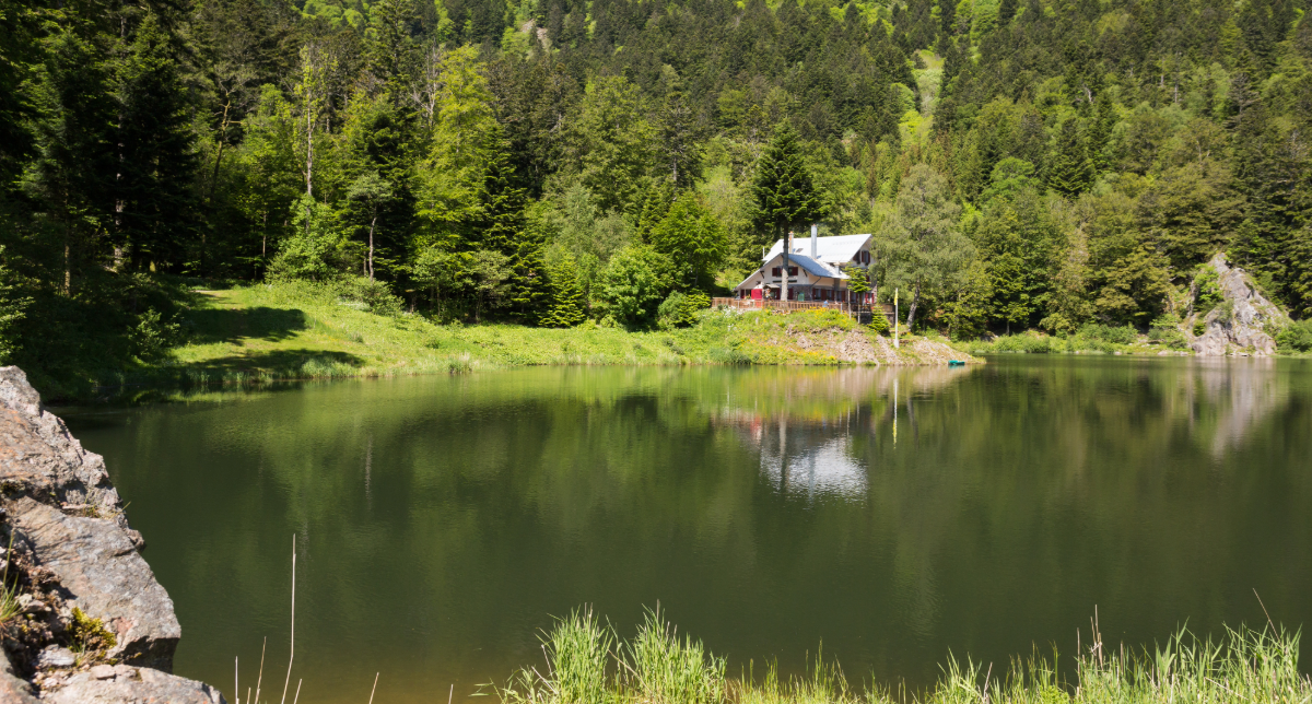 Concierge Vogézy: správa výjimečného chaletu v Gérardmeru, La Bresse nebo Senones, když žijete v Paříži nebo Ženevě